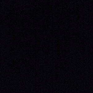 Meet your Posher, Maddy